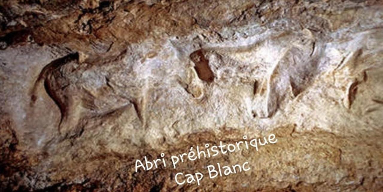 Chateau De L Herm, Lascaux, Sarlat, En Perigord Noir Rouffignac Saint-Cernin Zewnętrze zdjęcie
